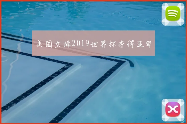 美国女排2019世界杯夺得亚军