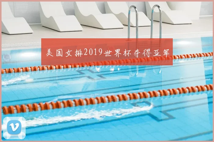 美国女排2019世界杯夺得亚军