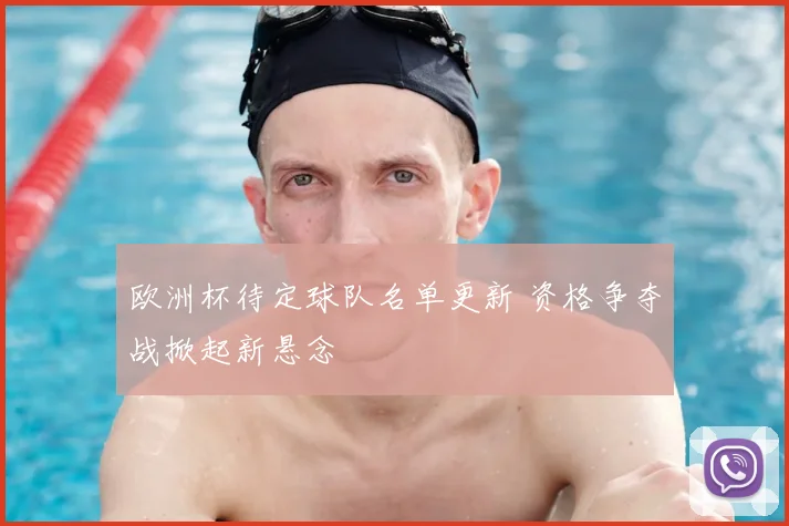 欧洲杯待定球队名单更新 资格争夺战掀起新悬念