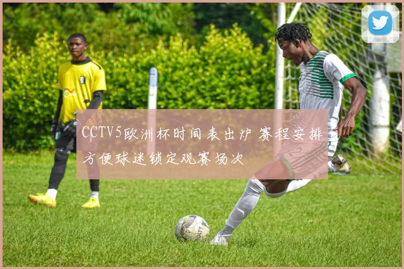CCTV5欧洲杯时间表出炉 赛程安排方便球迷锁定观赛场次
