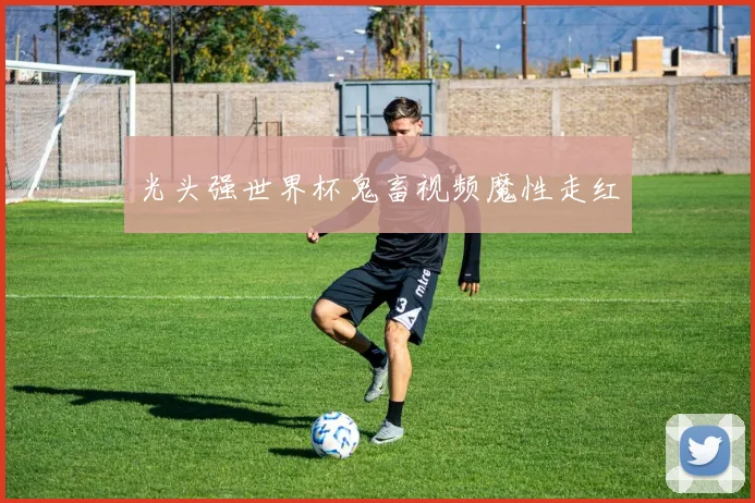光头强世界杯鬼畜视频魔性走红